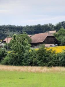 vers l'arrivée à Liebistorf par Untere Mühle.