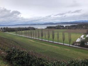 en montant on voit la route de Sugiez.