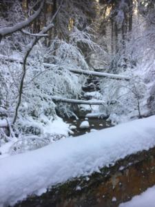 de neige