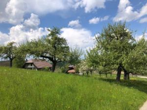 Dans la campagne bernoise