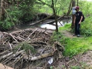 Le long du "Biberbach" vers Herrematt