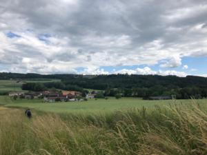 Remontée le long du Pélisson vers