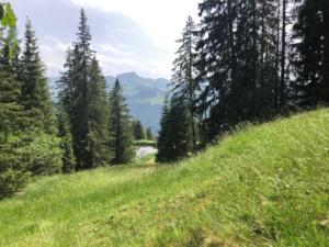 Petit lac près du téléski avant Lischerli