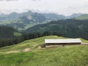Vue avant le retour 