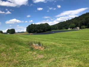 Au pied du Mont Vuarat, champ de ?