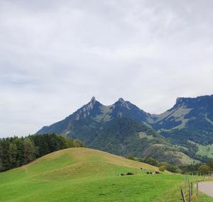 Broc Chamois Burgot