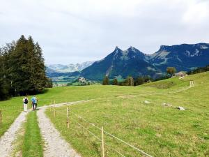 Descente vers le lac Mongeron