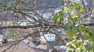 les hauts et arrivée (pont de Zaeringen)