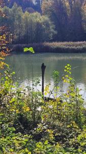 Dernier coup d'œil sur le lac 