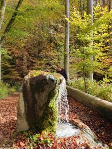 Au bord du lac