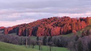 remontée