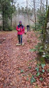 le Bois de