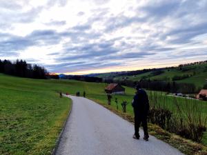 Descente après Progens