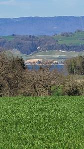 Vue sur le lac et