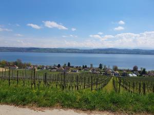 avec vue sur le lac de Morat.