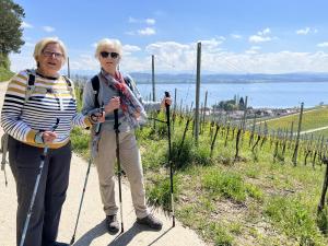 Dans le vignoble