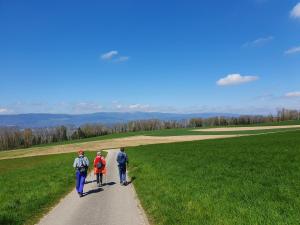 Neuchâtel.