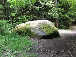 Bloc erratique dans le Bois de