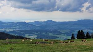 Vue en direction de la Veveyse