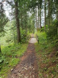 Le long du Ruisseau des 