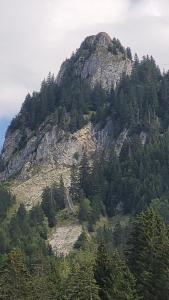 Une dent .. verte?