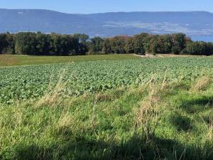 A Estavayer, train pour Yvonand et D'Yvonand au plateau