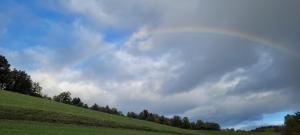 Entre pluie et bleu ...