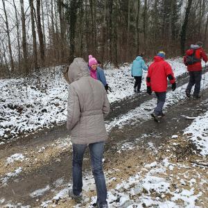 forêt de Roverex.