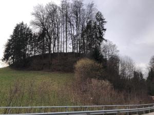 La colline des Ruines de 
