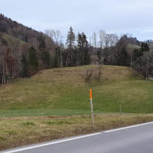 côté voici la bosse des ruines de Sternenberg (Voir le site internet)