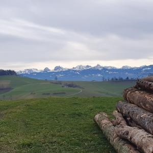 Balmberg