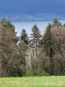 printemps et