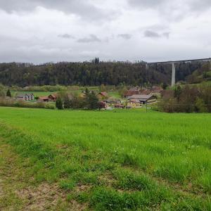 La Mauguettaz avec le pont de la N1 Payerne - Yverdon
