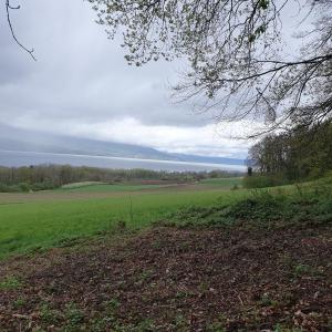Le lac de Neuchâtel avant le retour à Cheyres.