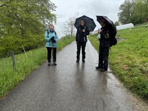 Gummen, descente vers Thörishaus.