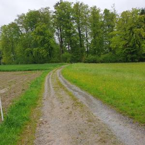 Herrenhölzli