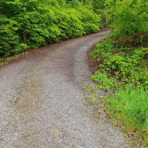 début de Mängistorfberg