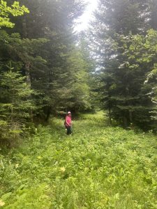 Descente difficile
