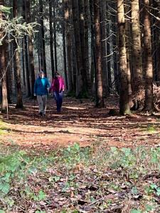 Dans la forêt