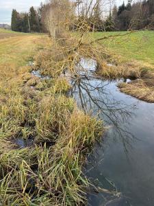 en longeant l'arbogne.