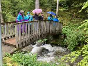Pont sur le ruisseau "im Graben"