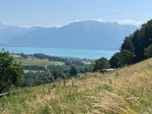 et les Monts de Corsier.