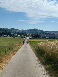 Descente vers Matran, Aligro