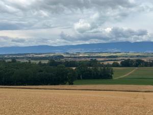 Ciel bien couvert mais...