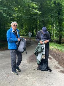 forêt du