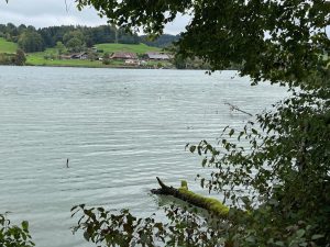 Wohlensee.