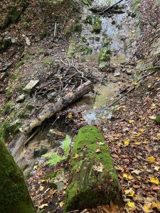 le ruisseau vers 