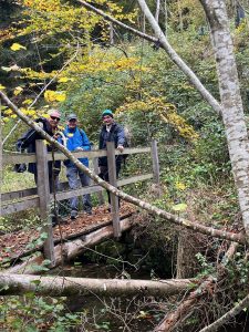el un pont sur la petite Glâne
