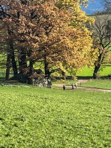 avant le bloque erratique (Pierrafortscha)