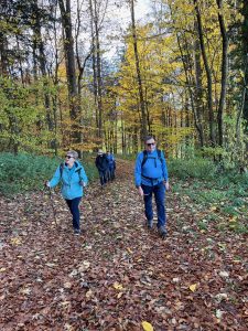 dans le Bois du Roule (après Marly)